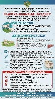 Брадзот-заболевание овец
